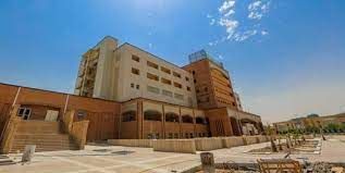 بازدید معاون توسع منابع انسانی و پشتیبانی از مراکز درمانی جمعیت هلال احمر در عتبات عالیات